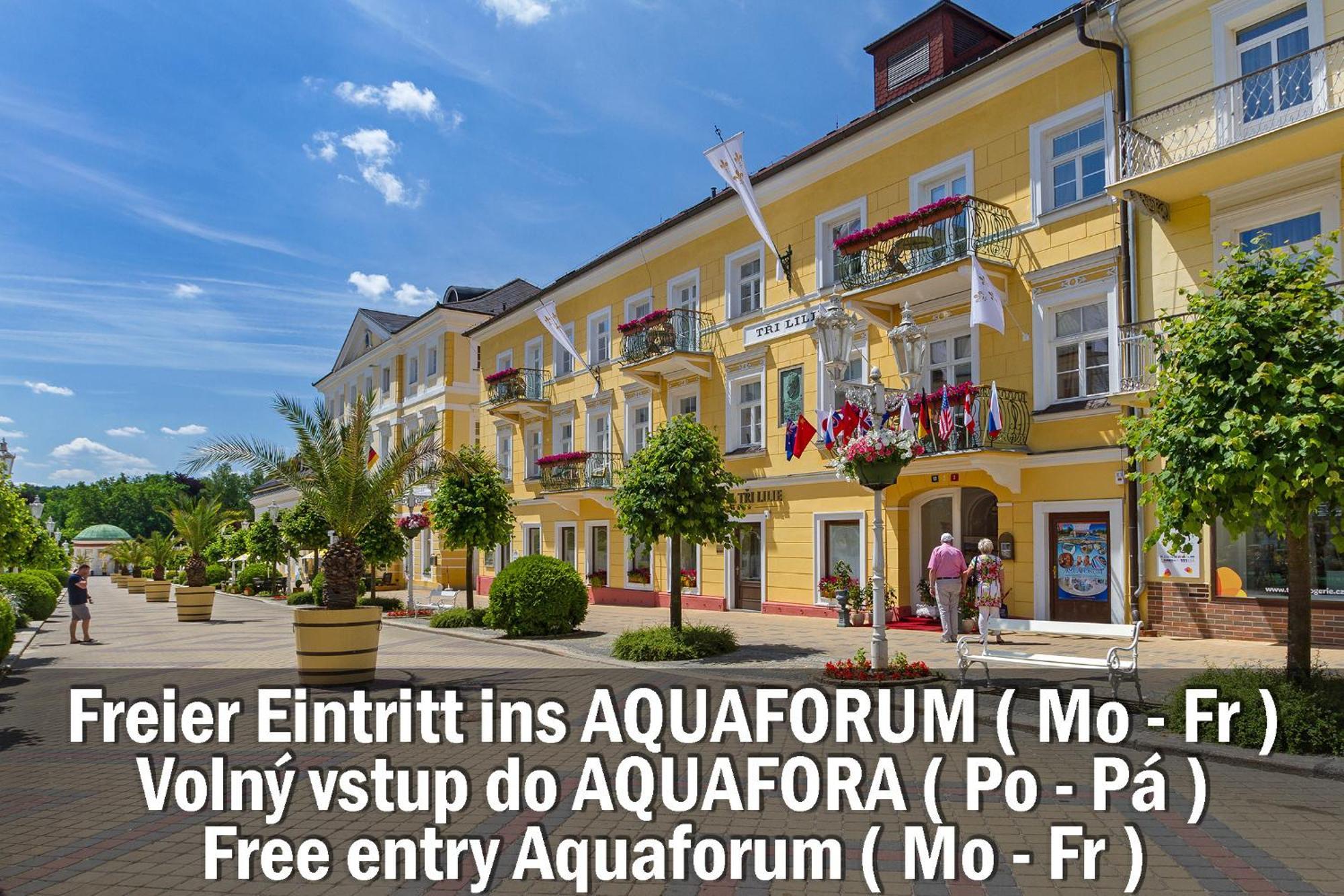 Hotel Three Lilies Inkl Aquaforum Františkovy Lázně Eksteriør bilde